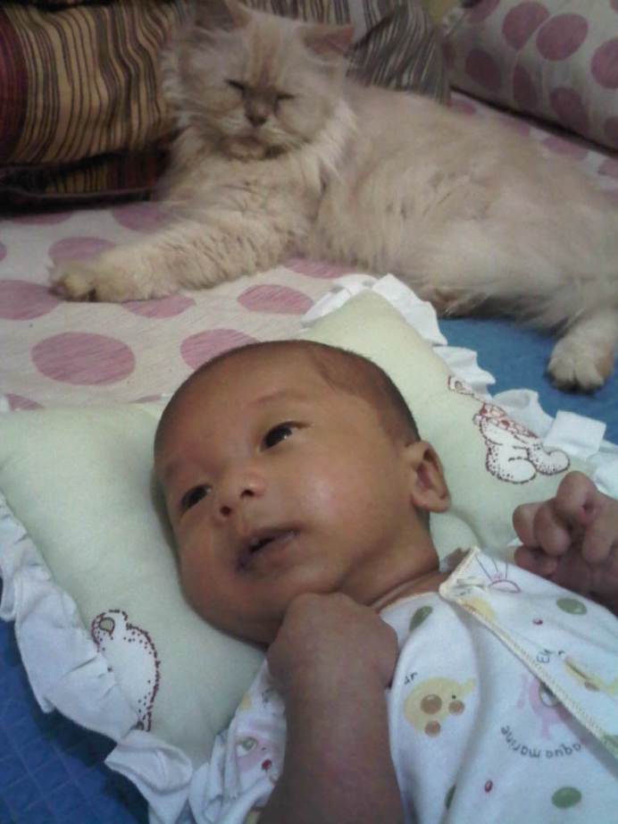 IMG01368-20111209-0733