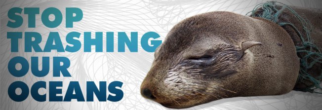 stop trashing our oceans