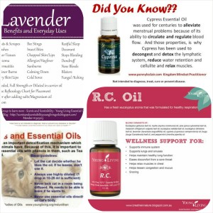 PhotoGrid_1440406821382