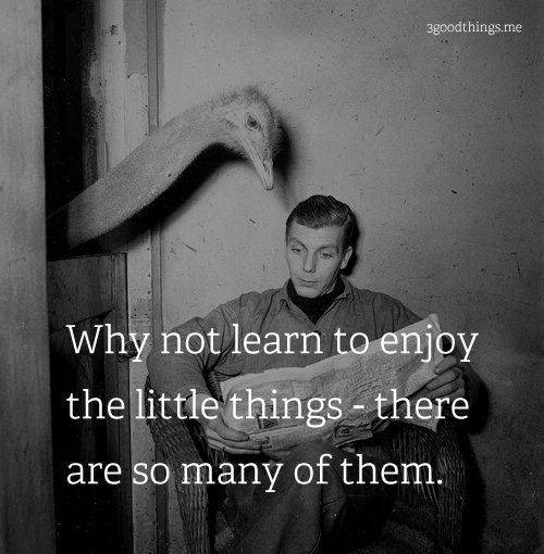 animals-funny-happiness-life-quotes-Favim.com-332440