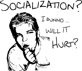 2011-06-04_00-15-51_260.288x287