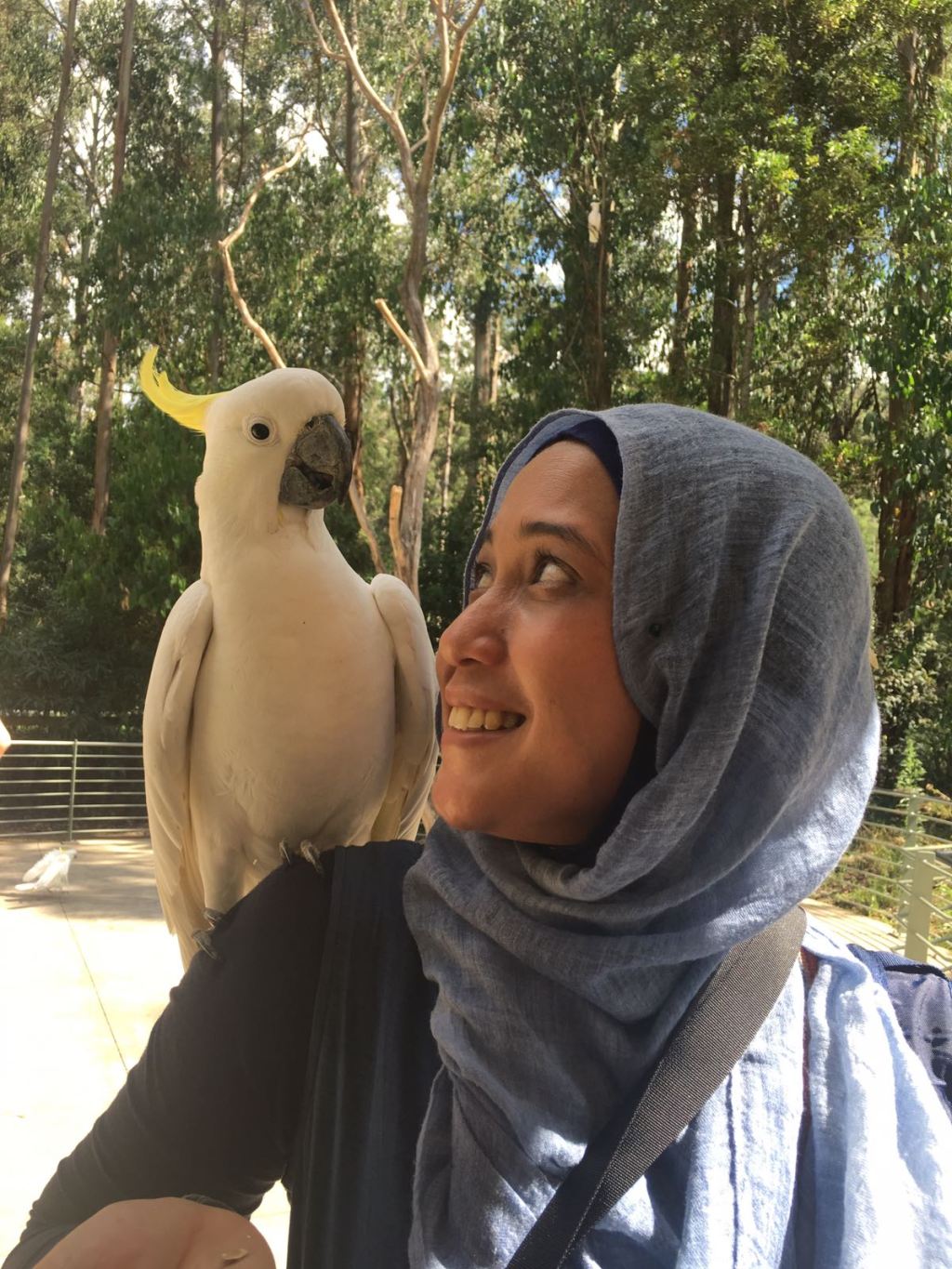 Series: Melbourne Trip (day&nbsp;5)