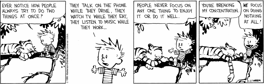 calvin-hobbes-focus
