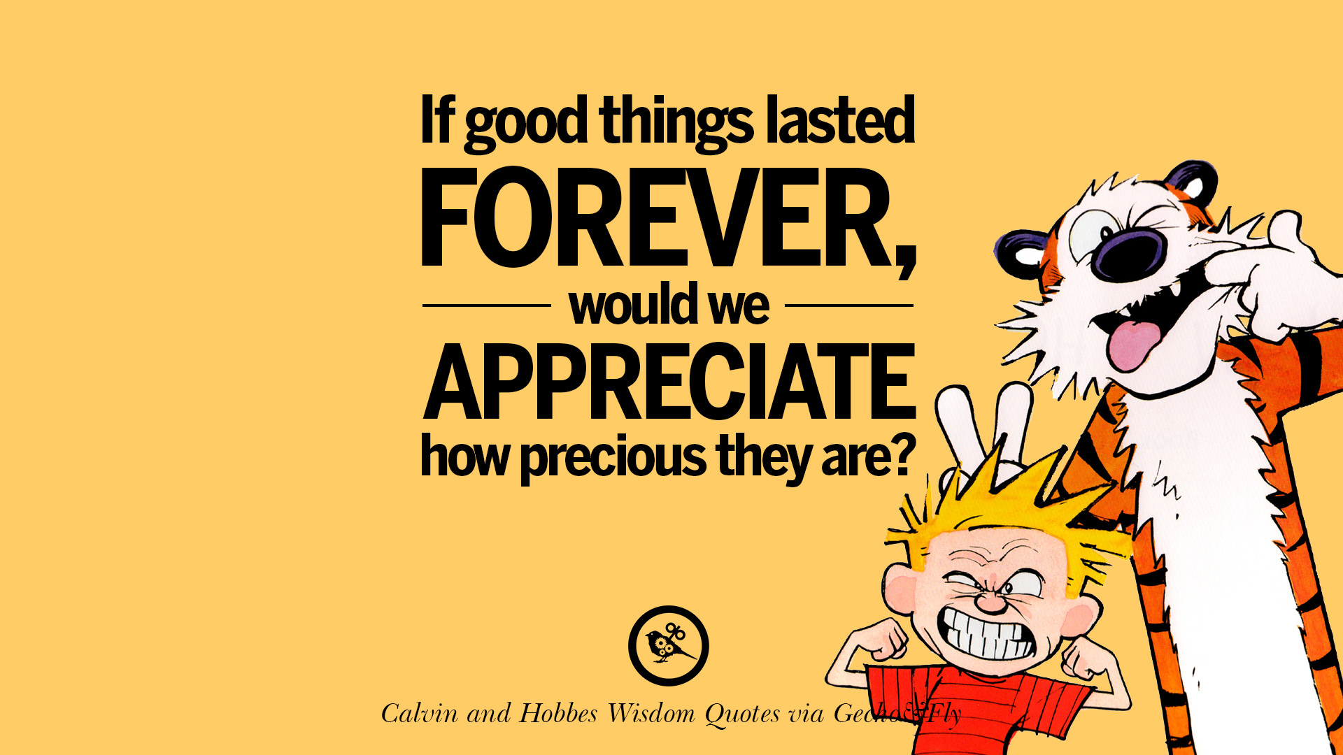 calvin-hobbes-quotes-wisdom-02