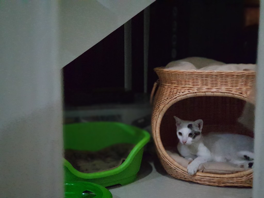 Babak baru (lagi) kehidupan&nbsp;kami