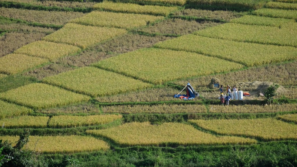 Baby Moon untuk ibu&nbsp;Kinestetik